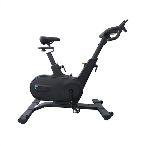 Titan Life Indoor Bike S96